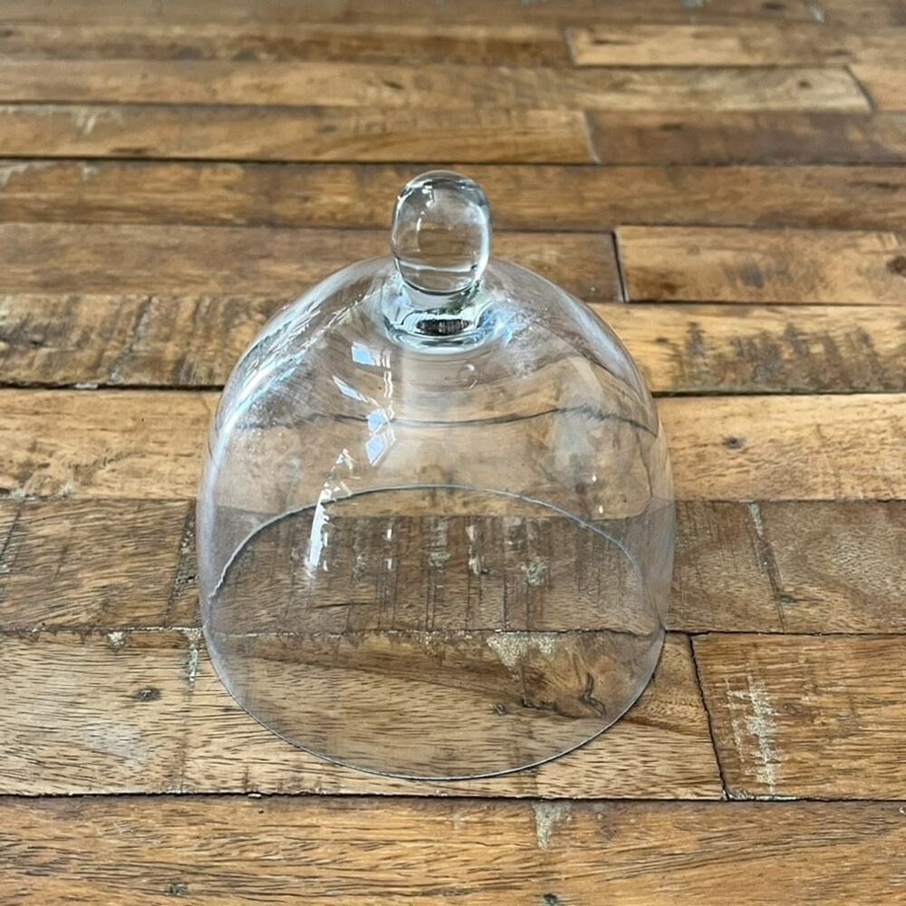 Vintage Cloche Jar 5" Clear Glass Display Dome with Knob Cheese Plant Food
